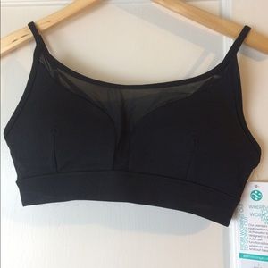 Padded Mesh Window Sports Bra